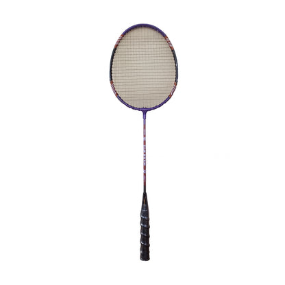 Pack of 9 Badminton Equipment Set – Stainless Steel Rackets, Nylon Shuttlecocks & Net